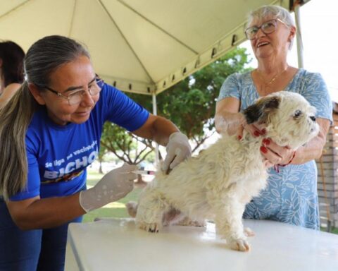 Sorriso já vacinou mais de 16,5 mil cães e gatos contra a raiva